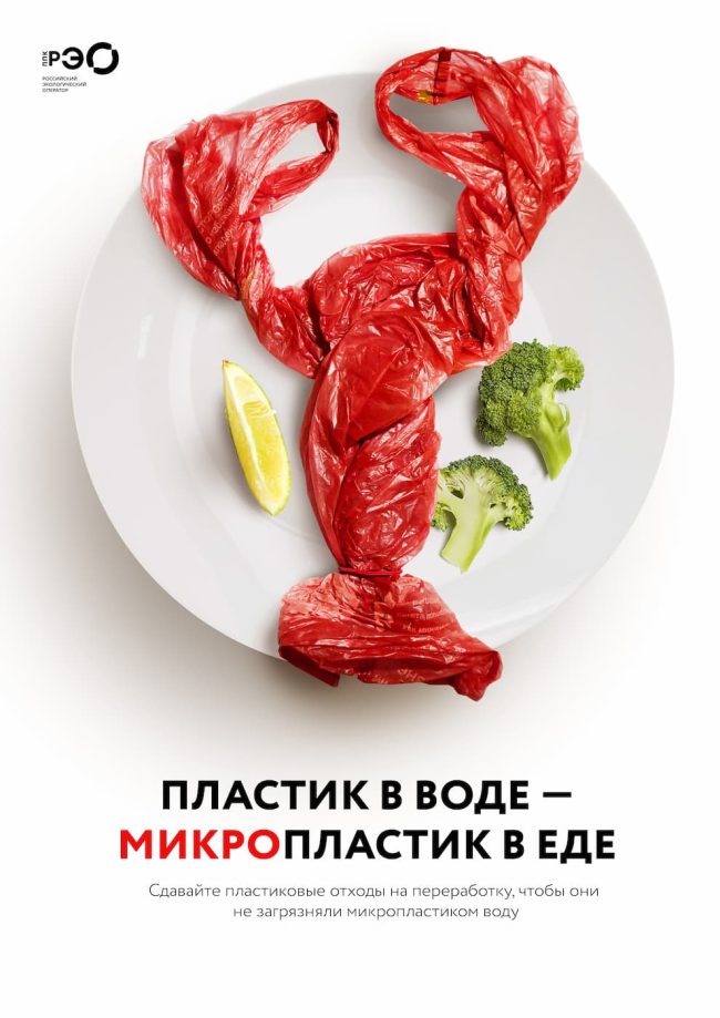 Экологическое просвещение